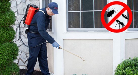 Gevaş Tahtakurusu İlaçlama böcek ilaçlama ve haşere kontrolü — ilaclama-tr.com